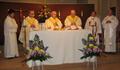 some of the Viceprovince priests